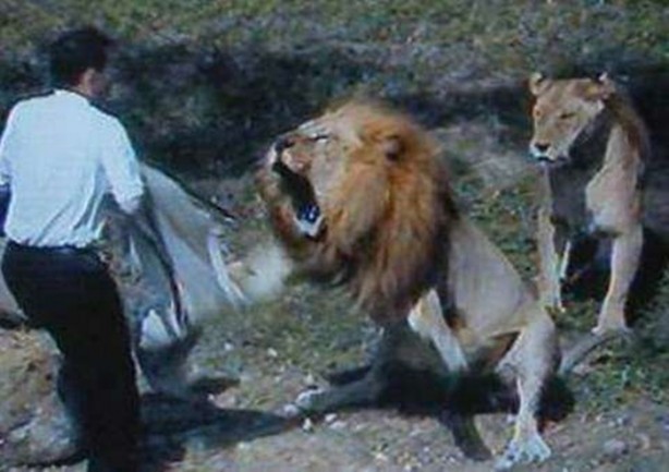 Foto - İnsanları en çok onlar öldürüyor