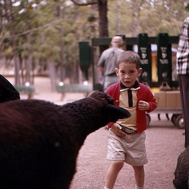 Foto - İnsanları en çok onlar öldürüyor