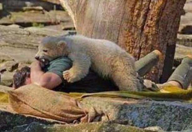 Foto - İnsanları en çok onlar öldürüyor