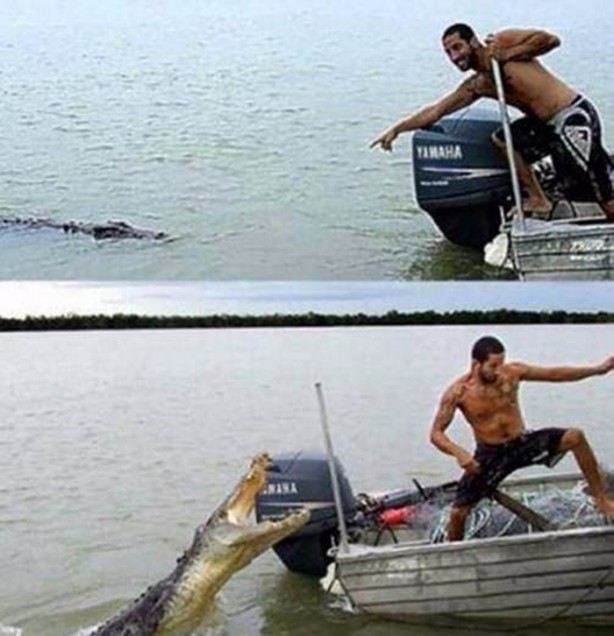 Foto - İnsanları en çok onlar öldürüyor