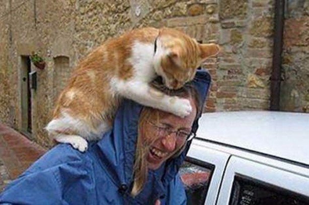 Foto - İnsanları en çok onlar öldürüyor