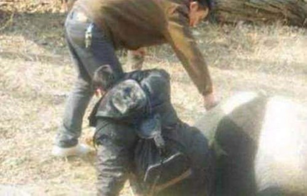 Foto - İnsanları en çok onlar öldürüyor