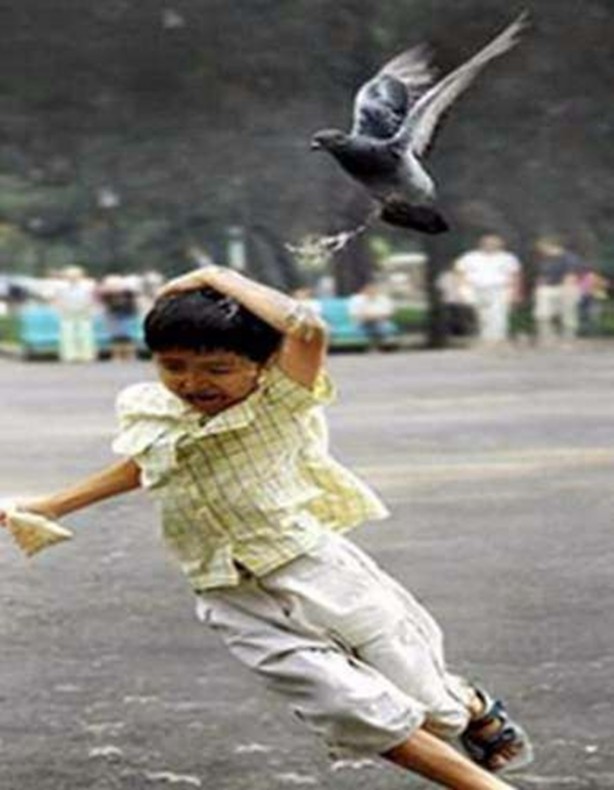 Foto - İnsanları en çok onlar öldürüyor