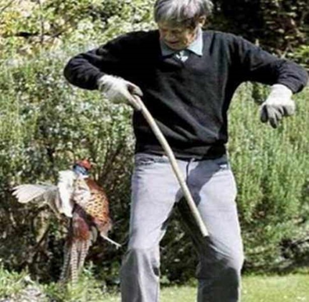 Foto - İnsanları en çok onlar öldürüyor