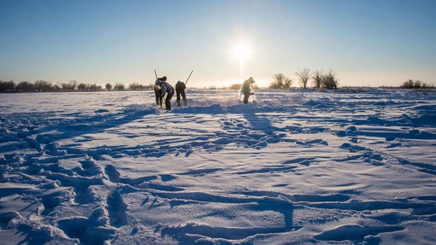 Foto - İnsanları zombiye çevirecek virüs bulundu! Bilim insanları şaşkın