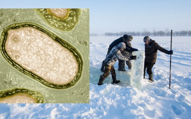 İnsanları zombiye çevirecek virüs bulundu! Bilim insanları şaşkın