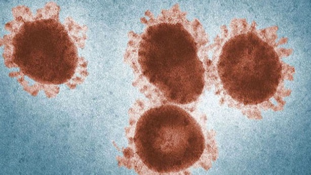 Foto - İnsanları zombiye çevirecek virüs bulundu! Bilim insanları şaşkın