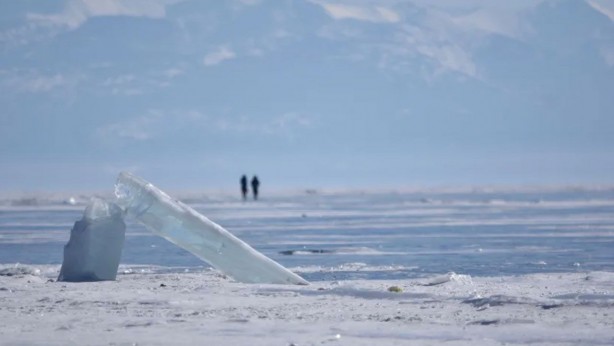Foto - İnsanları zombiye çevirecek virüs bulundu! Bilim insanları şaşkın
