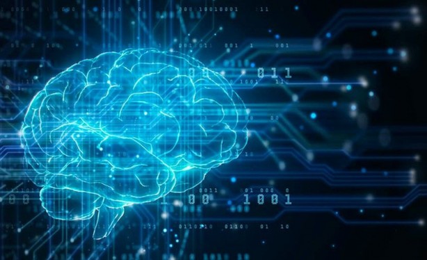 Foto - İnsanların yüzde 83’i başarısız! Dünyanın en kısa zeka testi