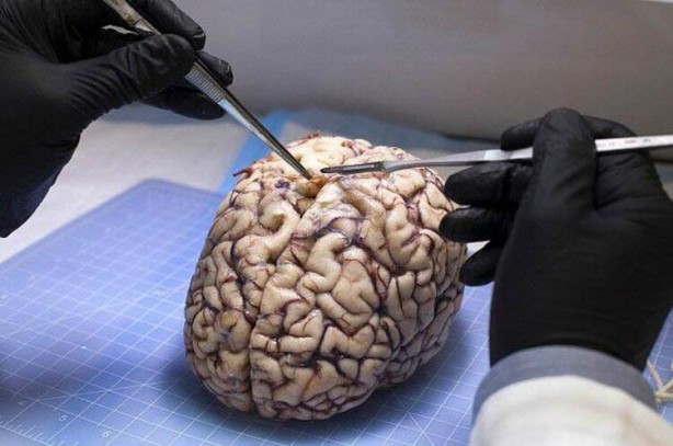 Foto - İnsanlığı neler bekliyor? Ünlü profesör İsmail Hakkı Aydın yıl yıl açıkladı