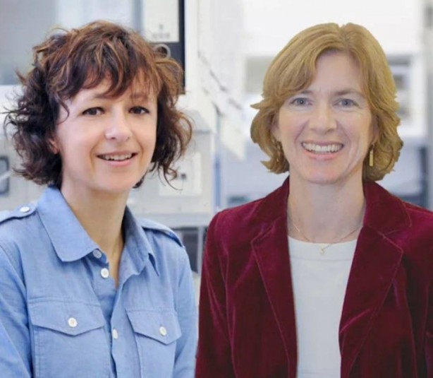 Foto - İnsanlık tarihine yön veren 12 bilimsel keşif!