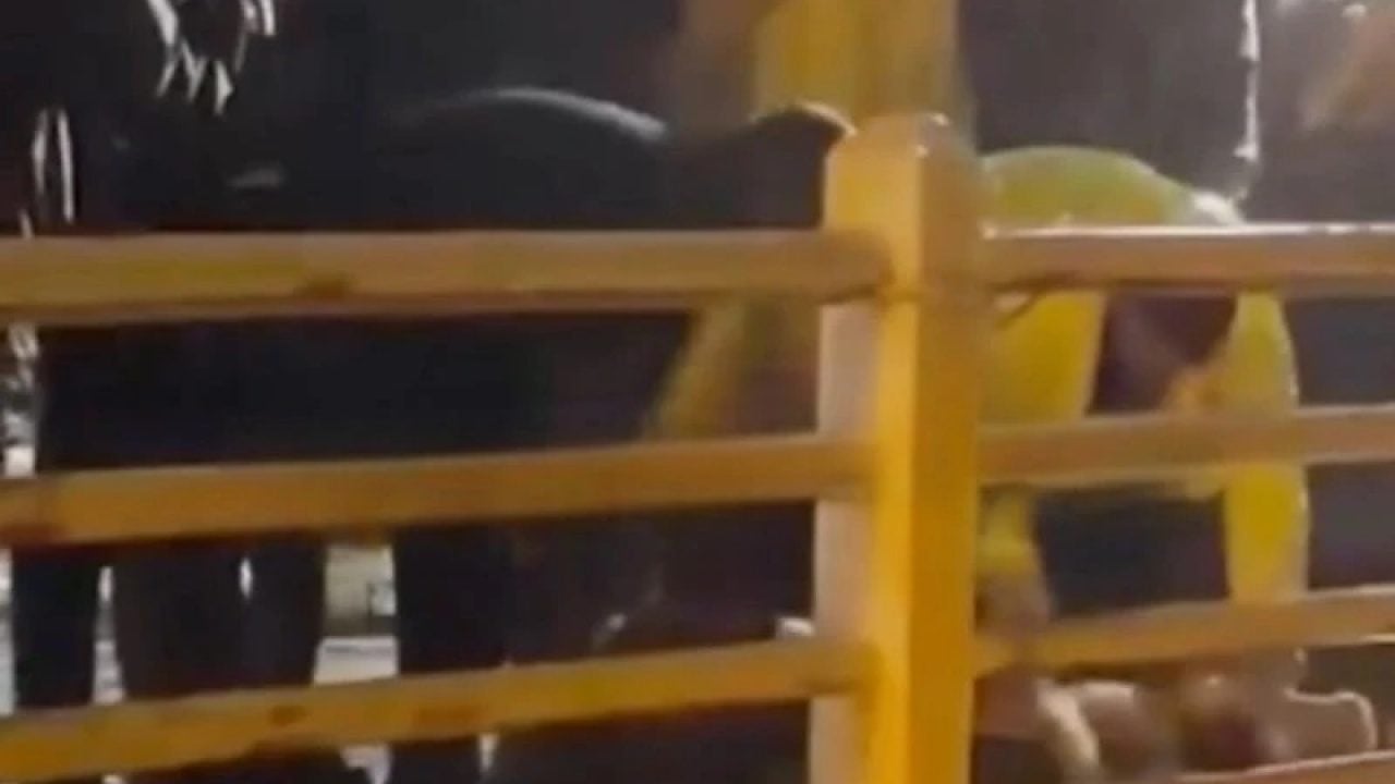 Foto - 'İnsanoğlu ne kadar nankör' dedirten olay: Köprüye çıkıp kurban kestiler