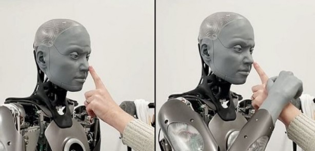 Foto - İnsansı robotlar için servet harcadılar