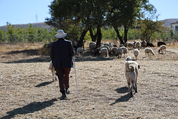 Foto - İnternet paketi de veriliyor! Aylık 70 bin lira maaşa çalışacak kimse bulunamıyor