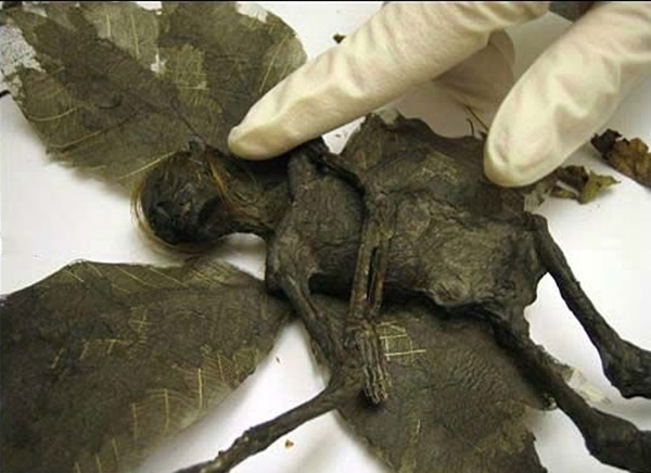 Foto - İnternette dolaşan herkesin inandığı sahte fotoğraflar