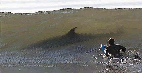 Foto - İnternette dolaşan herkesin inandığı sahte fotoğraflar