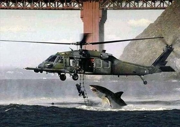 Foto - İnternette dolaşan herkesin inandığı sahte fotoğraflar