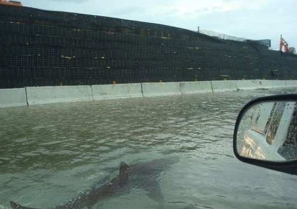 İnternette dolaşan herkesin inandığı sahte fotoğraflar