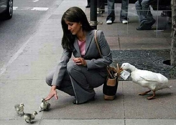 Foto - İnternette dolaşan herkesin inandığı sahte fotoğraflar