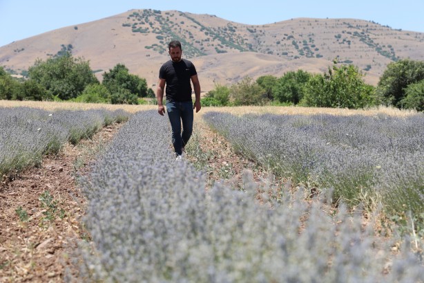 Foto - İnternette görüp heves ettiler! Üreticisi oldular