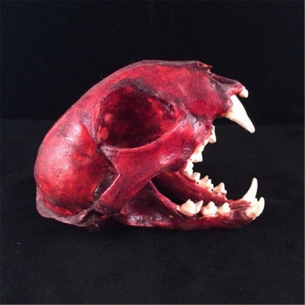 Foto - İnternette satılmış en tuhaf eşyalar