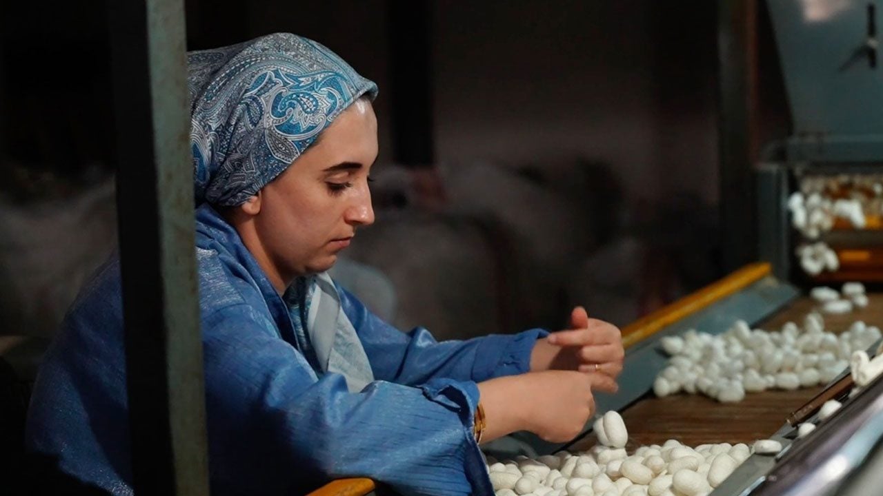 İpek üretimi bin çiftçiye gelir kapısı oldu! Türkiye’nin yaş kozasının yüzde 70’i bu ilçeden çıkıyor 