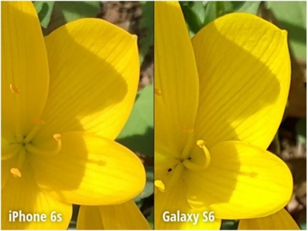 Foto - iPhone 6s ve Galaxy S6 kamera karşılaştırması