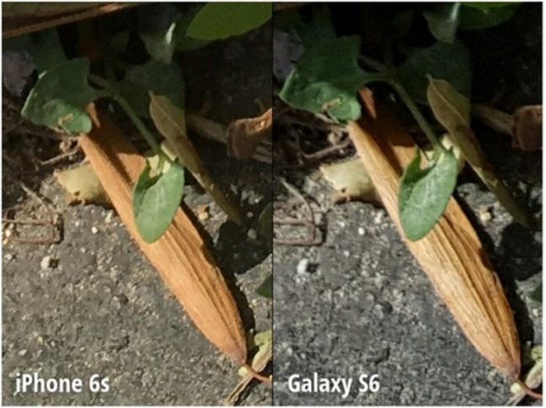 Foto - iPhone 6s ve Galaxy S6 kamera karşılaştırması