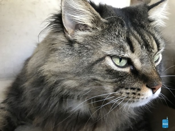 Foto - iPhone 7'nin ilk fotoğraf örnekleri