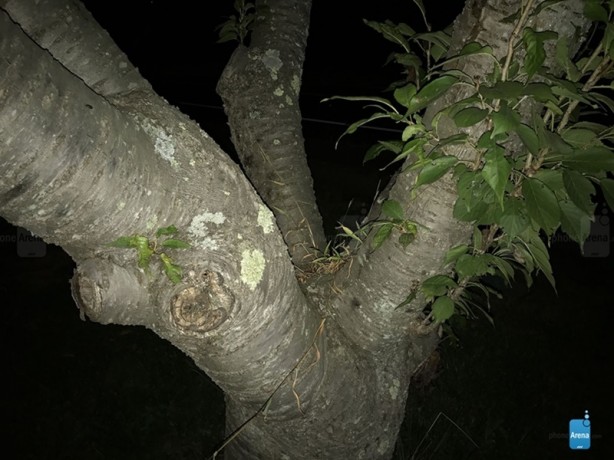 Foto - iPhone 7'nin ilk fotoğraf örnekleri