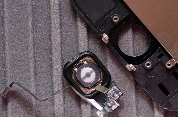 Foto - iPhone 8'den ilk görüntüler geldi