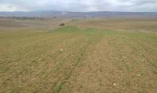 Foto - iPhone fiyatına arsa sahibi olabilirsiniz! Resmen satışa çıktı