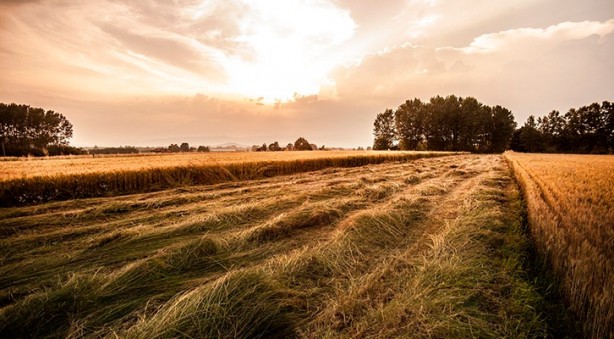 Foto - iPhone fiyatına arsa sahibi olabilirsiniz! Resmen satışa çıktı