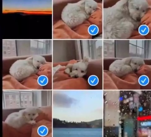 Foto - iPhone’lere tarihi güncelleme! Peki hangi özellikler gelecek