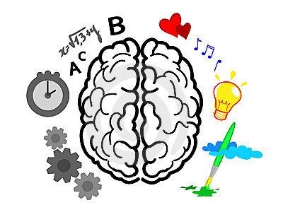 Foto - IQ seviyemiz neden atalarımızdan daha yüksek?