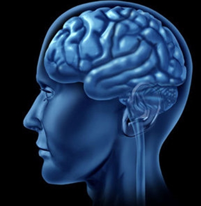 Foto - IQ seviyemiz neden atalarımızdan daha yüksek?