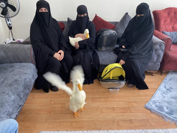 Foto - Iraklı kadınlara 'göletten ördek çaldılar' iftirası atmışlardı! Gerçek bambaşka çıktı