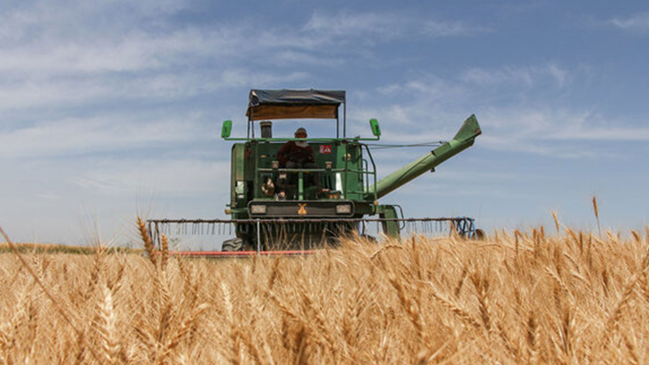 Foto - İran, Türkiye'yi zehirlemeye kalktı