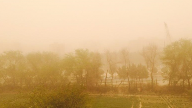 İran’da 1362 kişi hastanelik oldu!