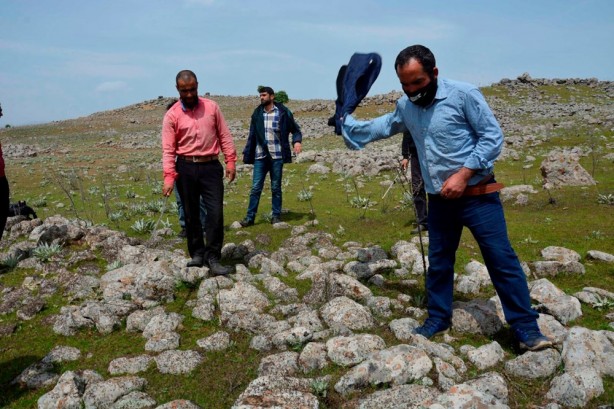 Foto - Mahalle halkı çekirge istilasının ekili arazilerine zarar vermesinden korktuklarını belirterek, yetkililerden yardım istedi. 