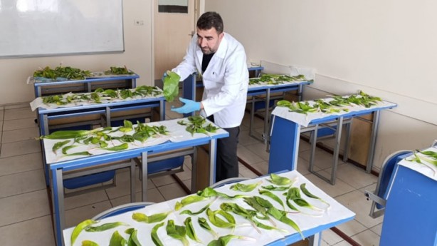 Foto - İranlılar Hakkari'de büyük bir skandala imza atacaklardı! Son anda fark edildiler