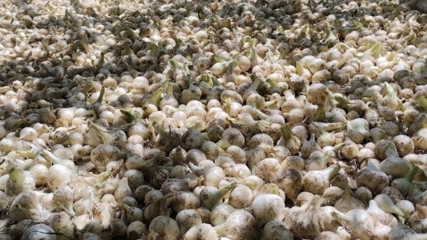 Foto - İranlılar Hakkari'de büyük bir skandala imza atacaklardı! Son anda fark edildiler