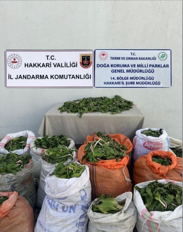 Foto - İranlılar Hakkari'de büyük bir skandala imza atacaklardı! Son anda fark edildiler