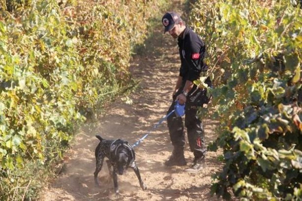 Foto - Irmak'ın katii ne kadar ceza alacak ?