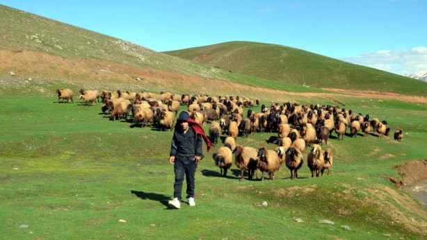 Foto - İş bulamayanlara "Onu yap" denirdi, şimdi kıymete bindi! Aylık 40 bin TL’yi trink diye veriyorlar, yine de o iş için adam bulamıyorlar