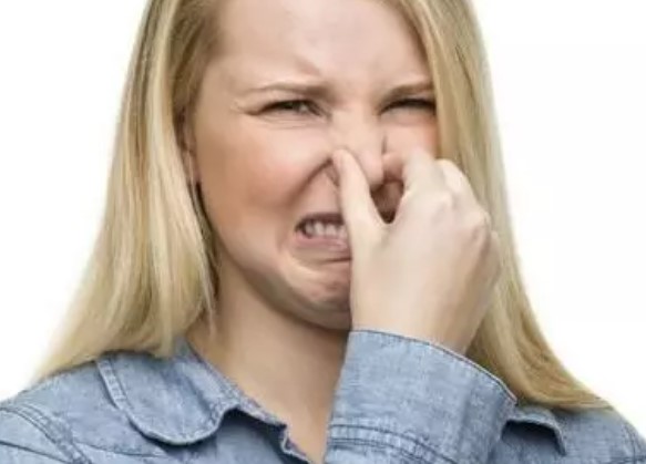 Foto - İş değiştireceklerin dikkatine! İşte dünyanın en az bilinen meslekleri