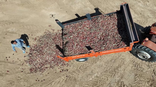 Foto - İş var çalışan yok! 1.300 lira yevmiyeyle çalışacak işçi bulunmuyor