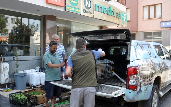 Foto - İş yerine giren sansar yakalanarak doğaya salındı