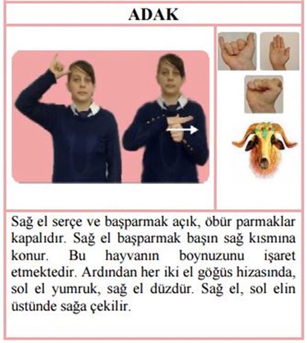 Foto - İşaret dili nedir, nasıl yapılır?