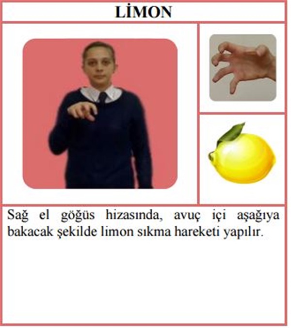 Foto - İşaret dili nedir, nasıl yapılır?